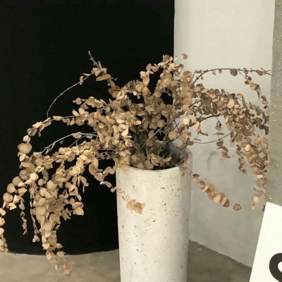 松阳FurryQQ群介绍